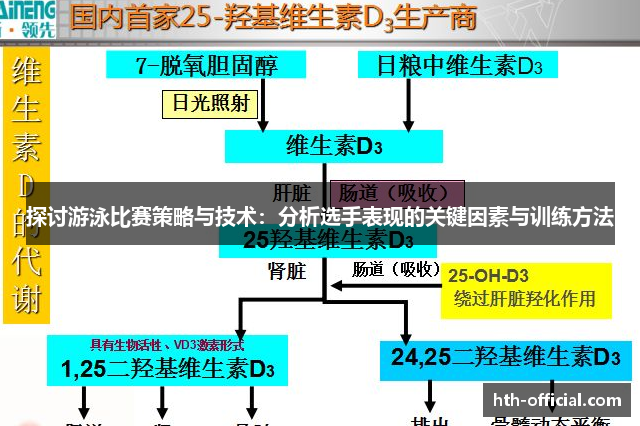 探讨游泳比赛策略与技术：分析选手表现的关键因素与训练方法