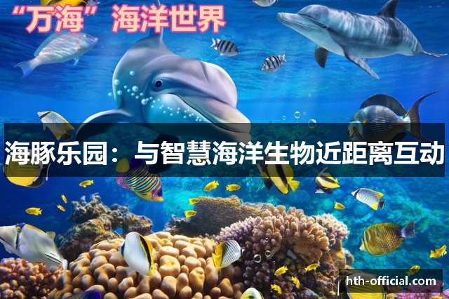 海豚乐园：与智慧海洋生物近距离互动